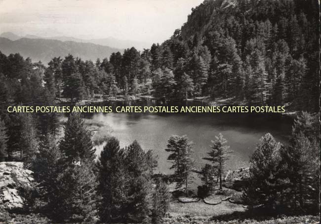 Cartes postales anciennes > CARTES POSTALES > carte postale ancienne > cartes-postales-ancienne.com Corse  Corse du sud 2a Orto