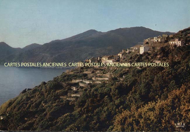 Cartes postales anciennes > CARTES POSTALES > carte postale ancienne > cartes-postales-ancienne.com Corse  Haute corse 2b Canari