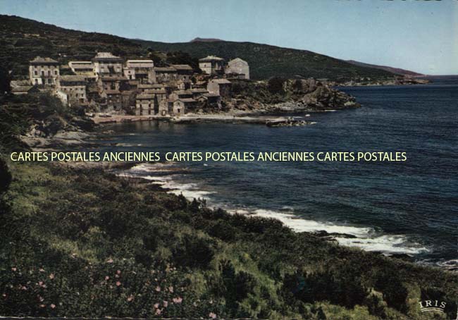 Cartes postales anciennes > CARTES POSTALES > carte postale ancienne > cartes-postales-ancienne.com Corse  Haute corse 2b Cagnano