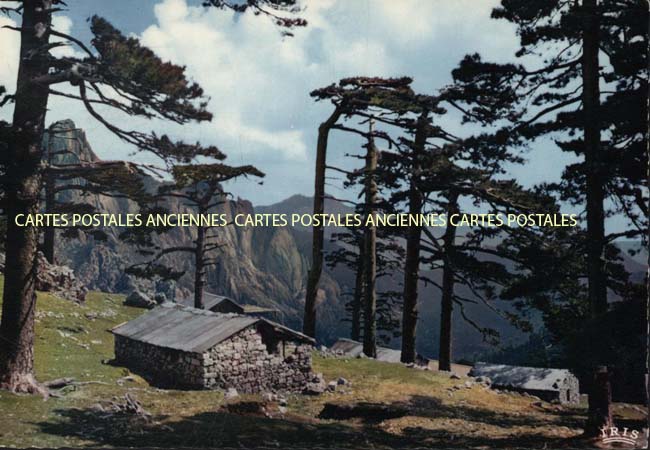 Cartes postales anciennes > CARTES POSTALES > carte postale ancienne > cartes-postales-ancienne.com Corse  Corse du sud 2a Conca