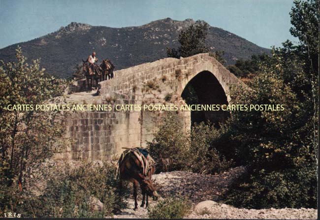 Cartes postales anciennes > CARTES POSTALES > carte postale ancienne > cartes-postales-ancienne.com Corse  Sartene