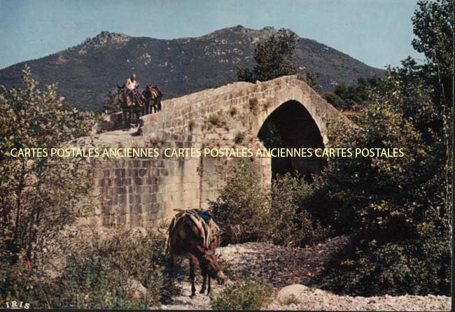 Cartes postales anciennes > CARTES POSTALES > carte postale ancienne > cartes-postales-ancienne.com Corse  Corse du sud 2a Sartene