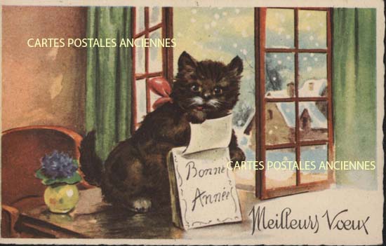 Cartes postales anciennes > CARTES POSTALES > carte postale ancienne > cartes-postales-ancienne.com Humour