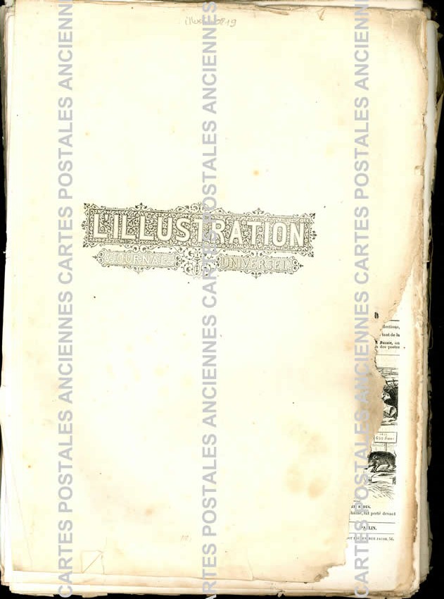 L'illustration