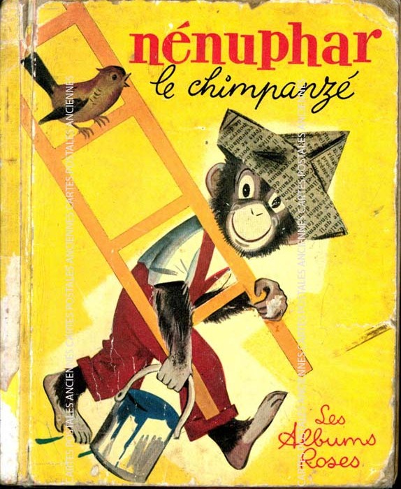 Edition hachette