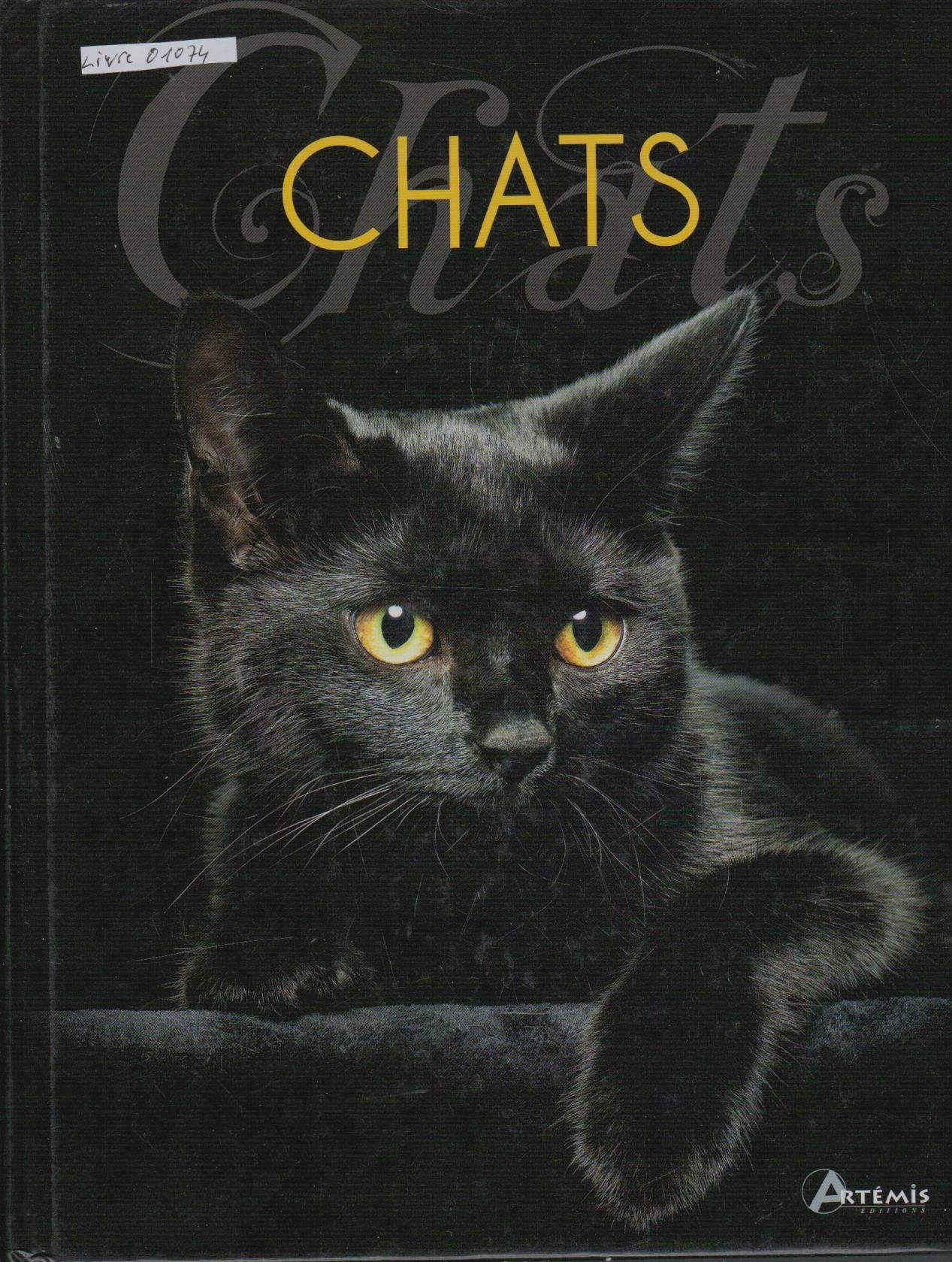 Paperback novels