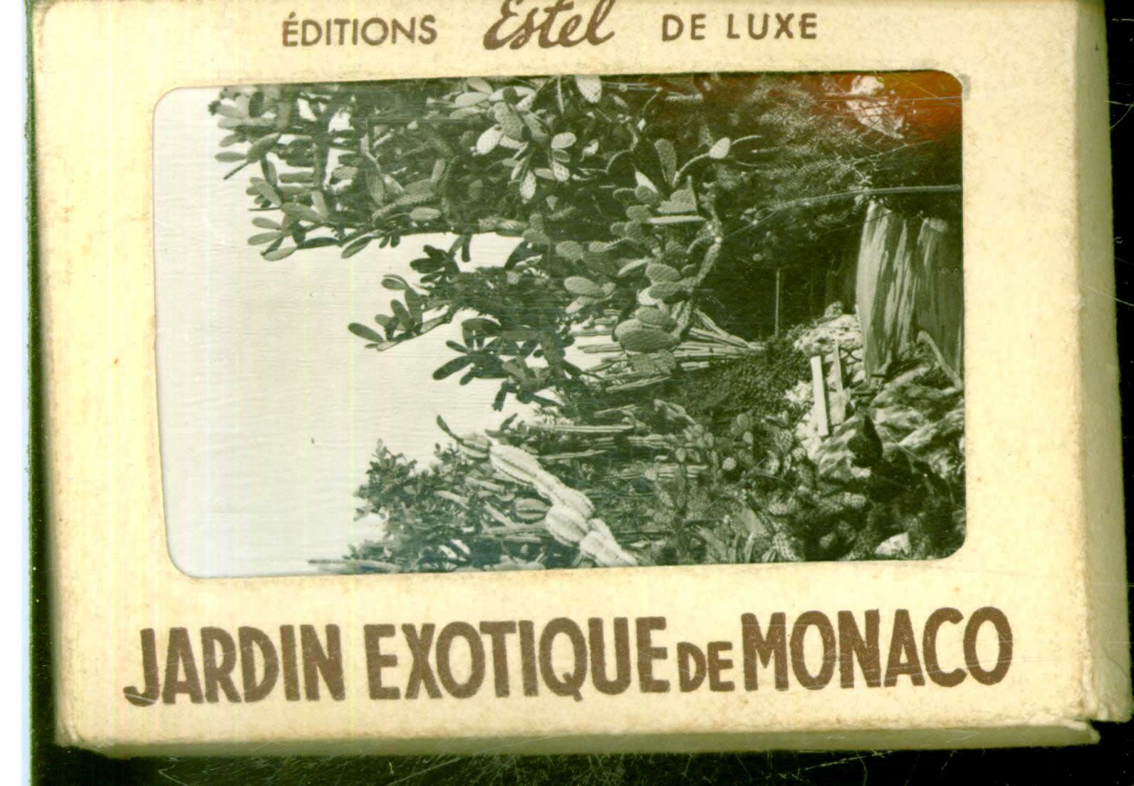 Lots From monaco